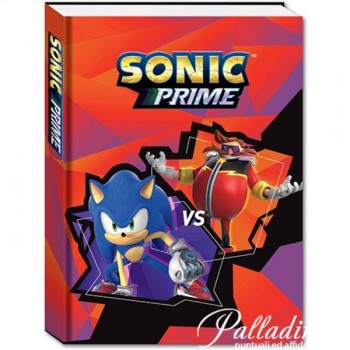 DIARIO SONIC 10 MESI 21x15cm